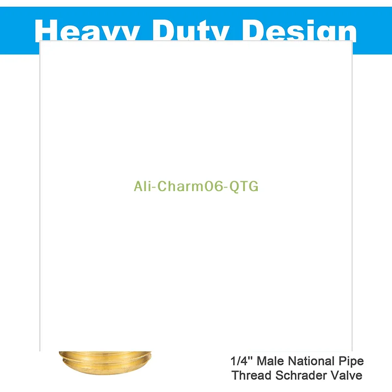 

Клапан для заправки воздушных баллонов 1/4 NPT 1/8 NPT, антикоррозийный латунный клапан Шредера (M), соединитель для накачки автомобильных шин