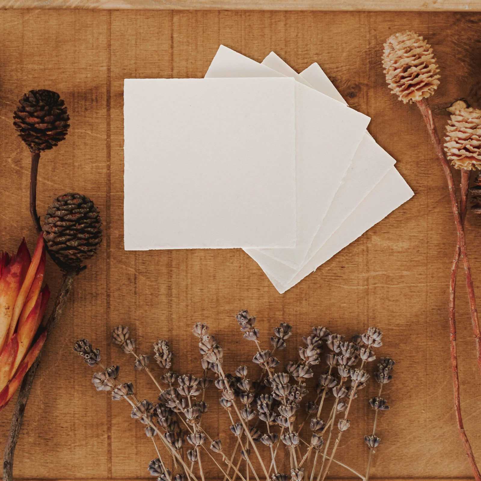 

4pcs Flower Pressing Boards Water Absorbing Press Boards For Dried Flower Diy Supplies Plant Leaf Press Tool Specimen Making Kit