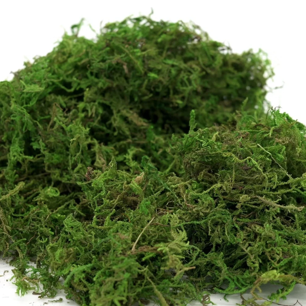 50/100g Fake Moss Artificial Green Moss for Potted Plants Fairy Garden Accessories