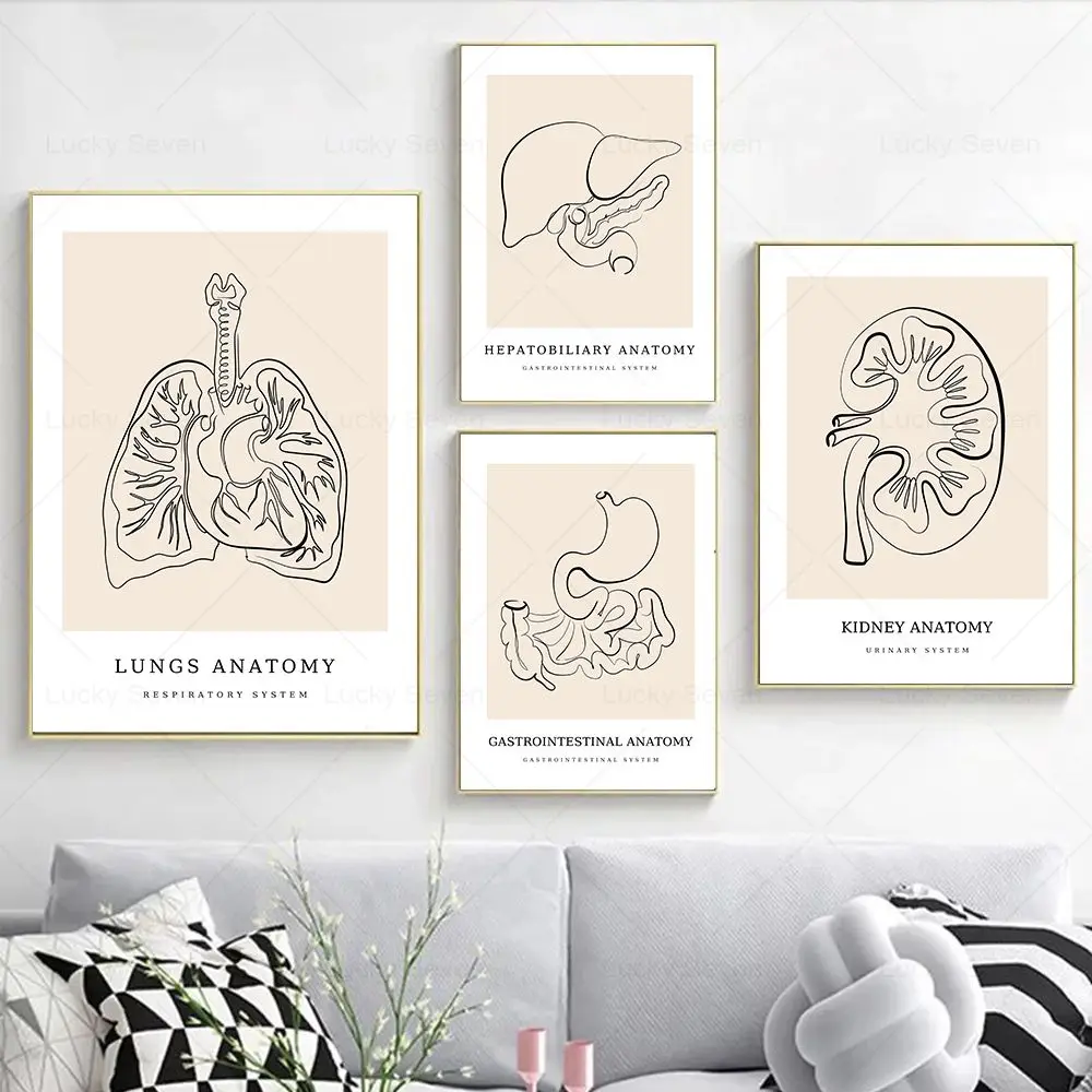 Human Heart Brain Uterus Anatomy Posters Line Art Print Clinic Wall Art Canvas Painting Medicine Pictures Gift Doctor Room Decor