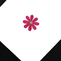 Fuschia