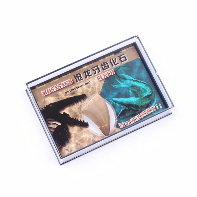 Natural Mineral Specimen Teaching Materials Reiki Healing Crystals Collection Box for Children Students Researching Exploring
