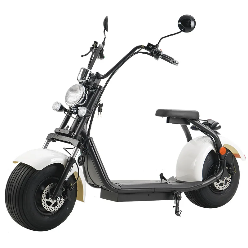 Direct supply large new electric two-wheeled wide tire adult walking 60V battery car.