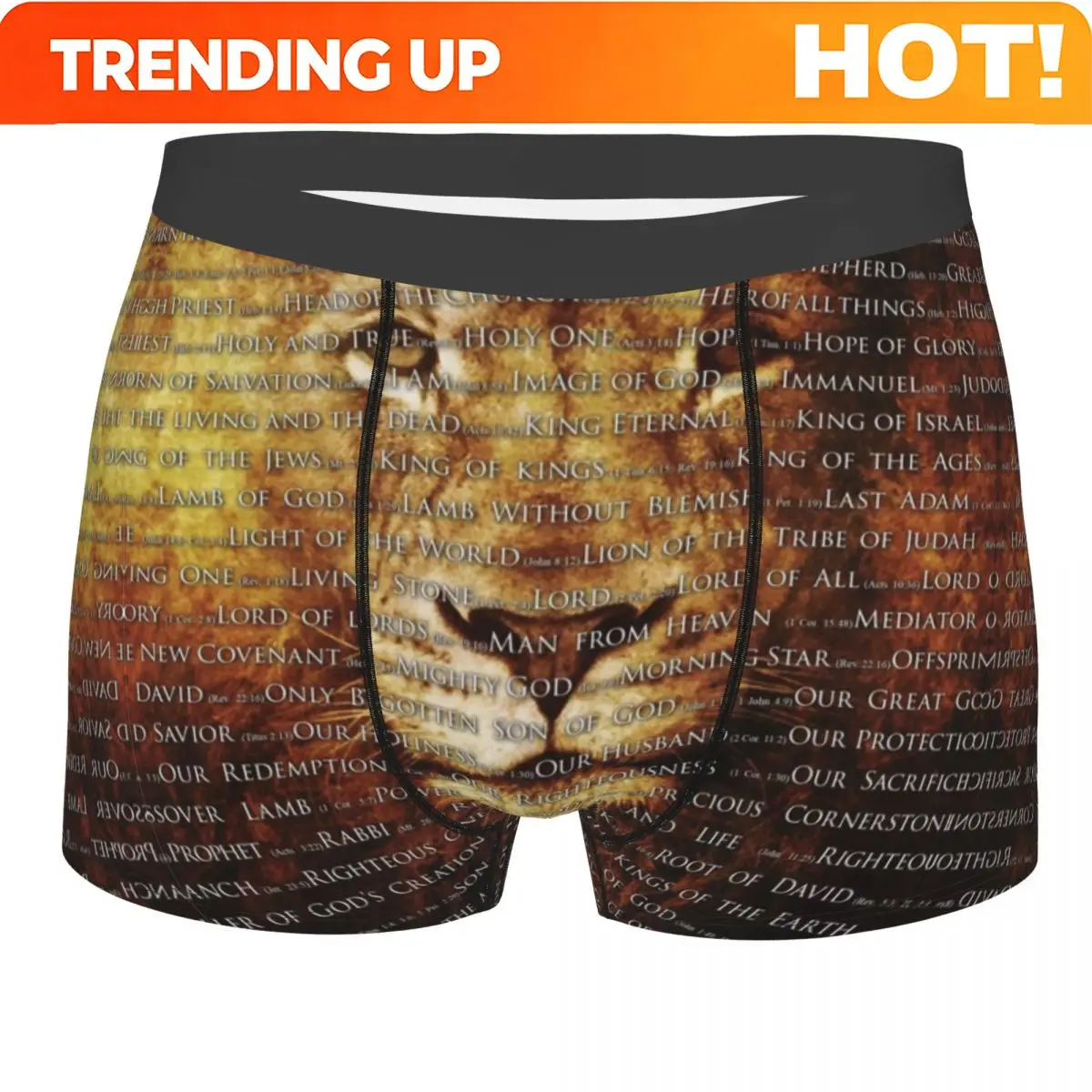 Male Cool The Names Of God Jesus Lion Underwear Christian Catholic Boxer Briefs Breathbale Shorts Panties Underpants