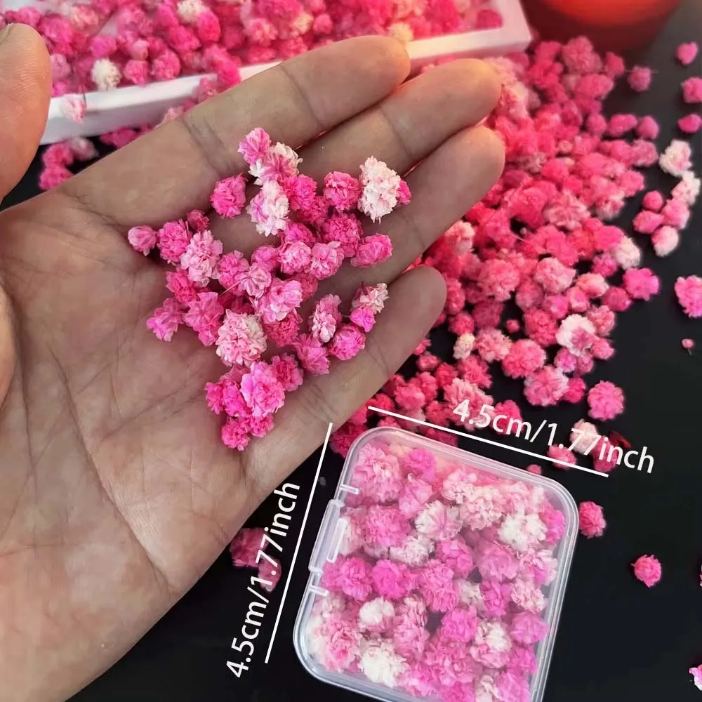 1 Caixa de Flores Mistas para - Resin Art Earrings Design avaliação e preço