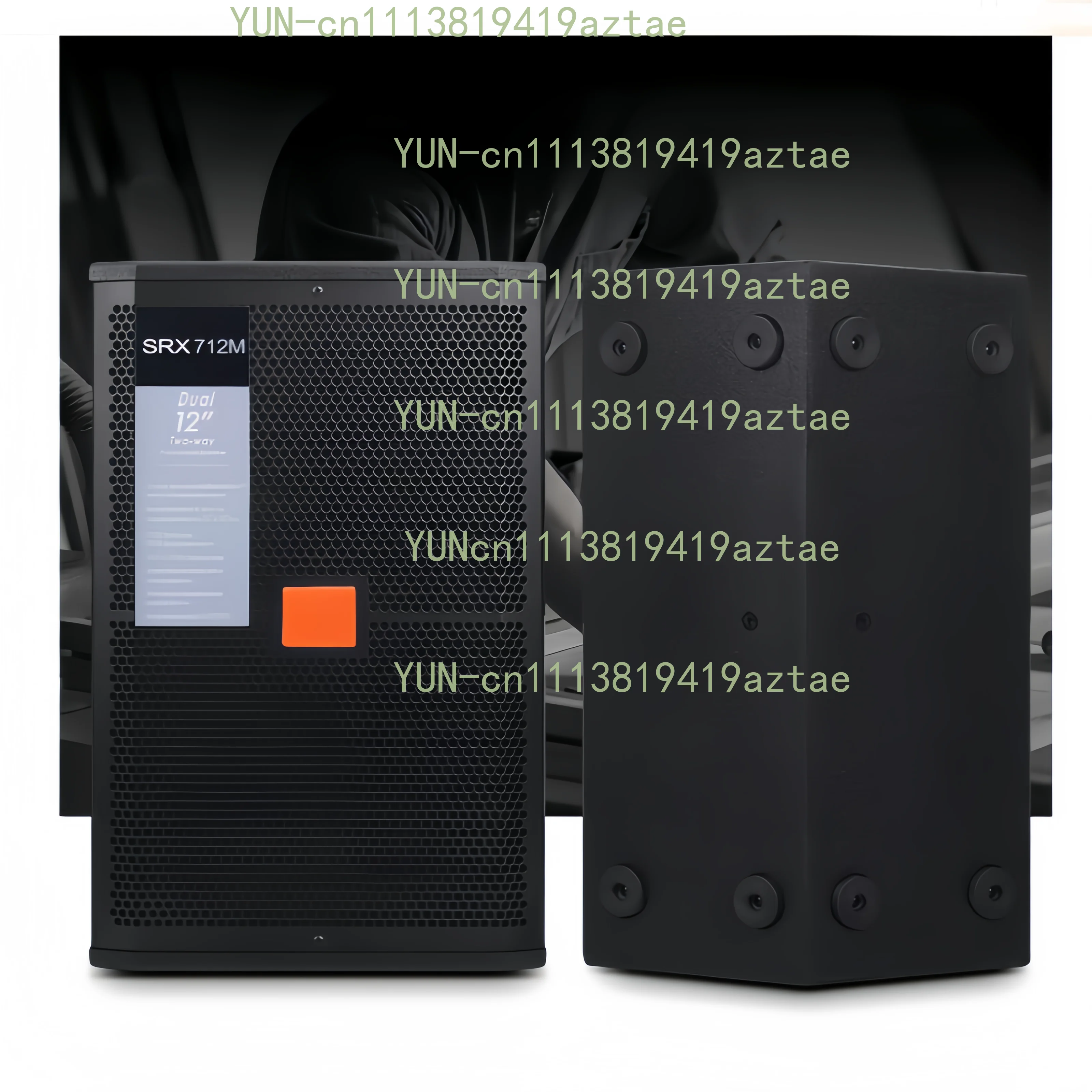 12 Inch High Power Stage Speaker System Outdoor Wedding Bar Performance Audio Set