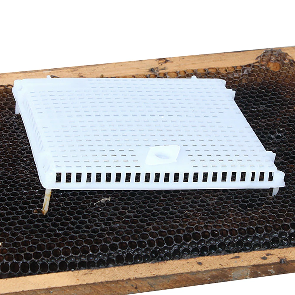 5PCS Queen Rearing Plastic Large Space Introduction Cage Push Against Comb Prisoner Imprison Imker Apiculture Beekeeping Tools view 4