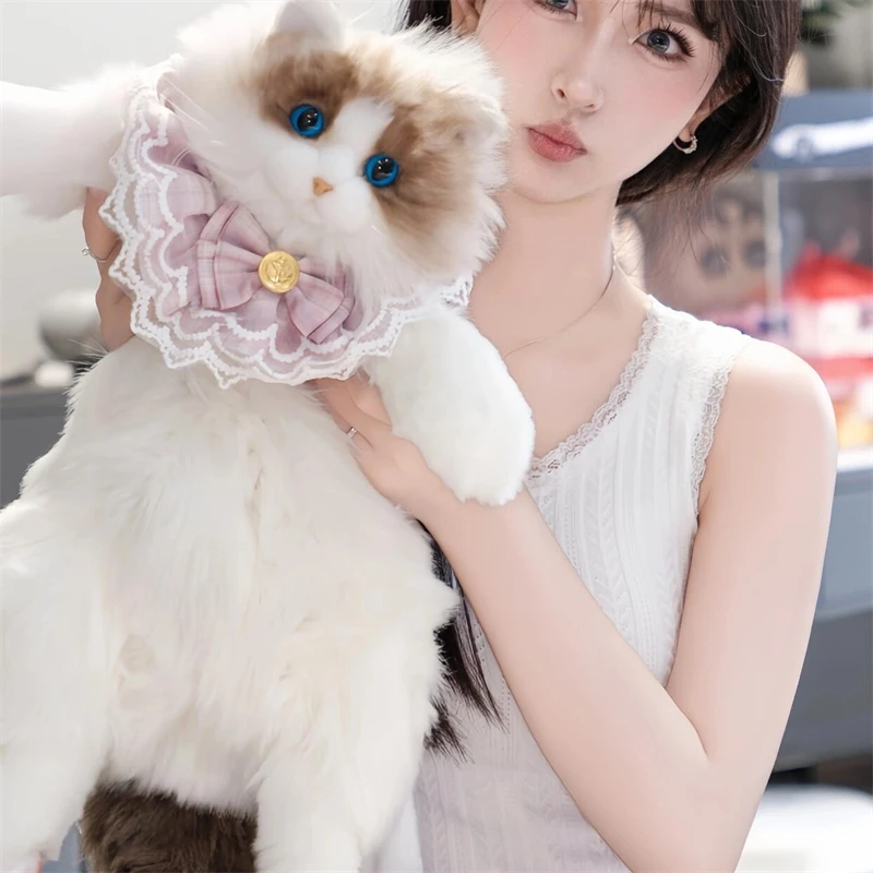Imitation Ragdoll Cat Backpack Plush Doll, Cuddly Kitty Stuffed Toy For Gifts