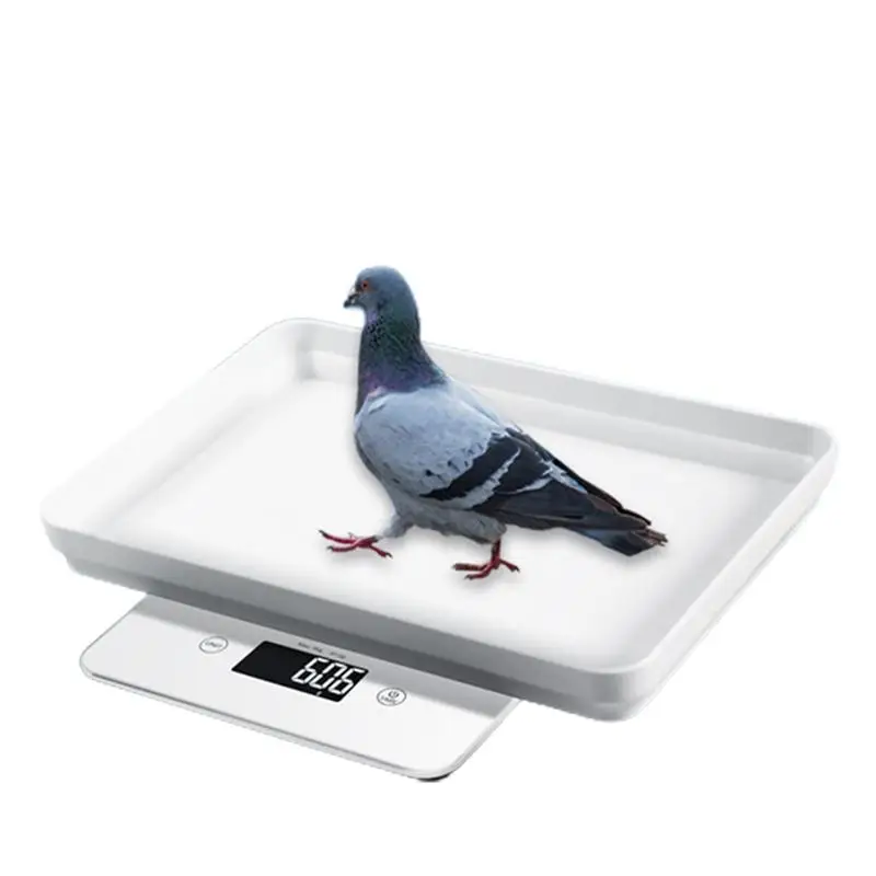 Small Animal Scale Multifunction Electronic Scale Weight Kitchen Food Scale With LCD Display For Pets