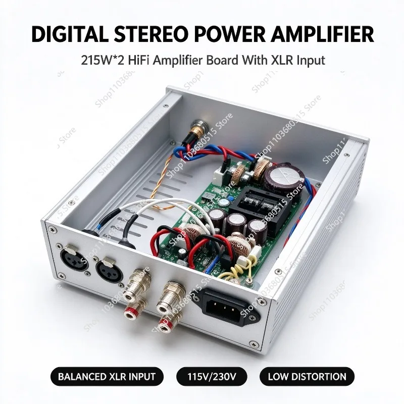 HiFi Digital Stereo Power Amplifier, XLR Input Dual Channel High Fidelity Home Audiophile Low Distortion