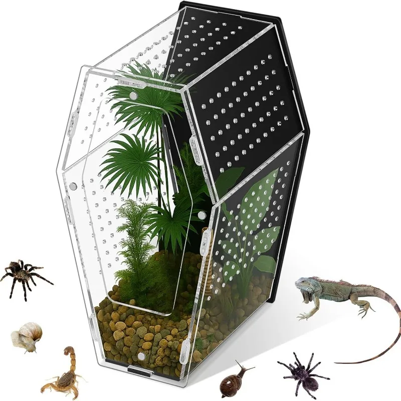Acrylic reptile feeding box spider lizard palace breeding box high transparency visual ventilation ecological tank