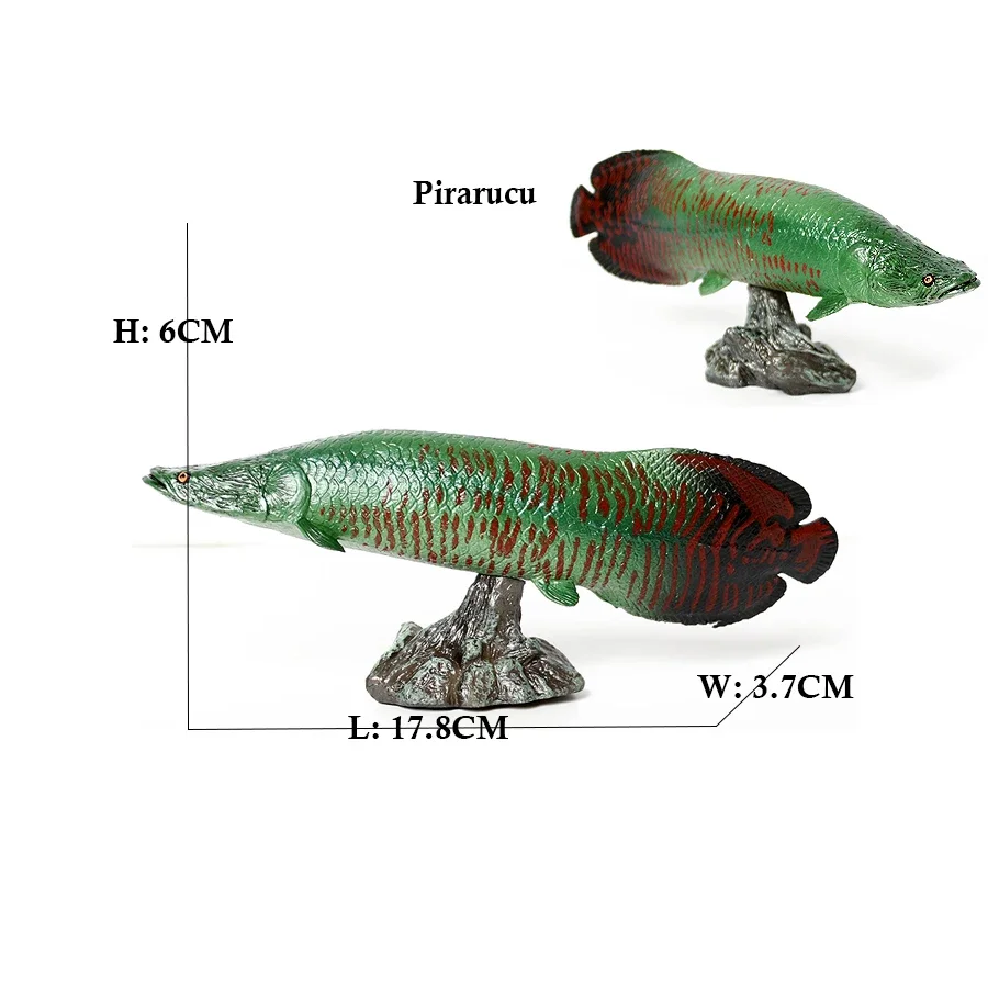 Arowana Pirarucu Coelacanth Bichir Alligator fish Model Marine Animal Action Figures Collectible Toys for Kids Educational Gifts