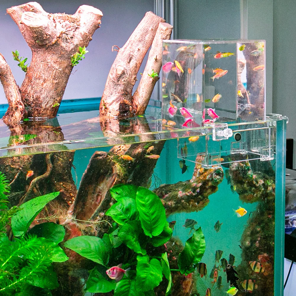 

Negative Pressure Fish Tank Innovative Aquarium Fish Tank For Office Aquarium Pour Poisson Fish Tank 어항 Peceras حوض سمك 어항용품