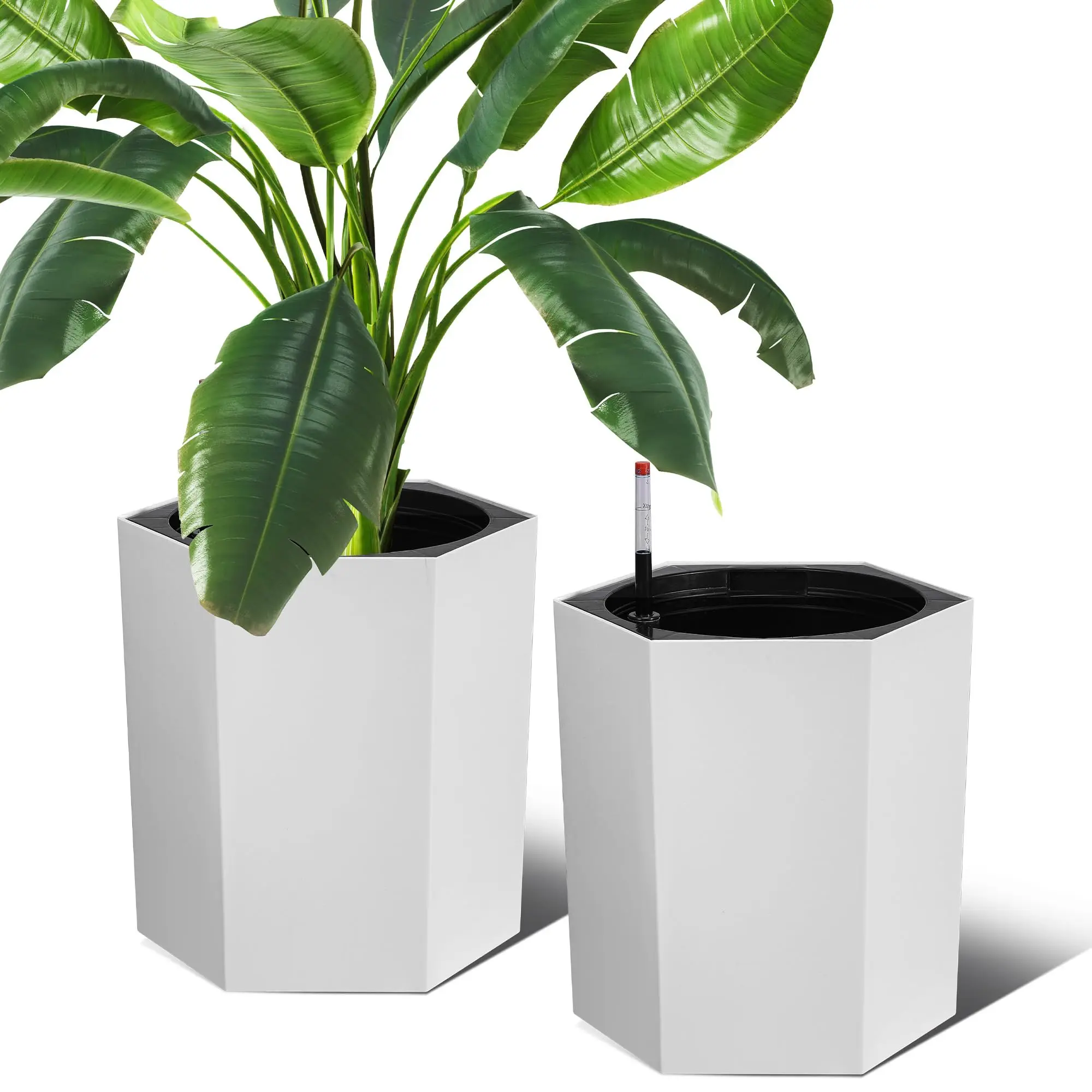 

16 Inch Tall Outdoor Planters Set of 2, Self Watering Pots for Indoor Plants with Water Level Monitor & Drainage Hole & Wheels