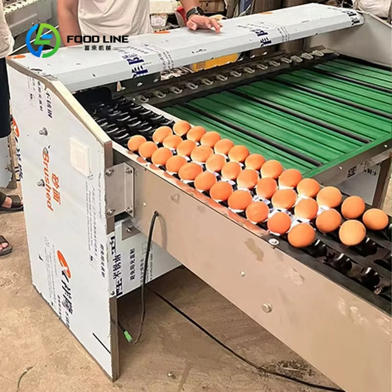 High Capacity  Automatic Classify Size Sorter Grader Egg Fruit & Vegetable Grading Machine 304 Stainless Steel Customized