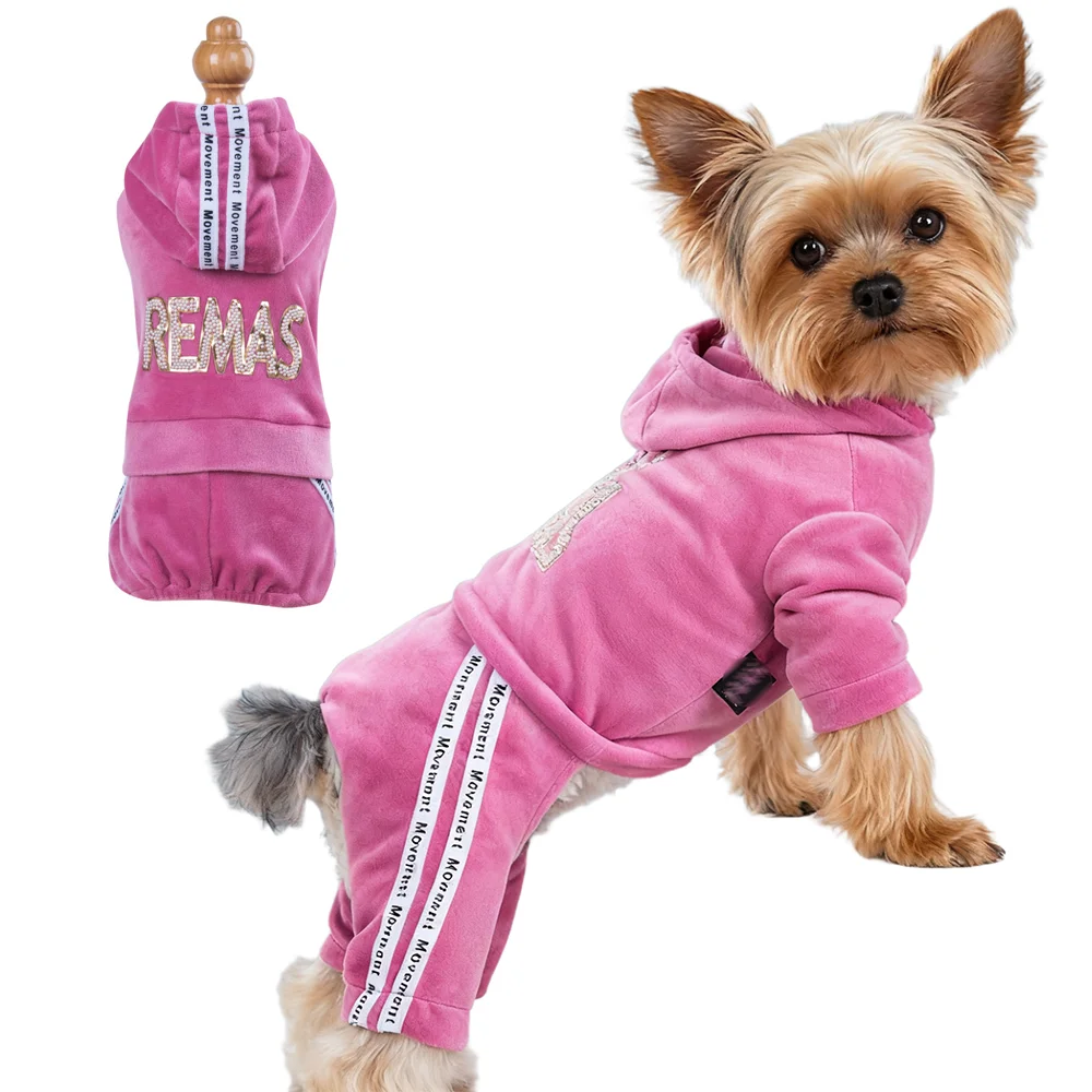 #5 Trending Pet Apparels Right Now