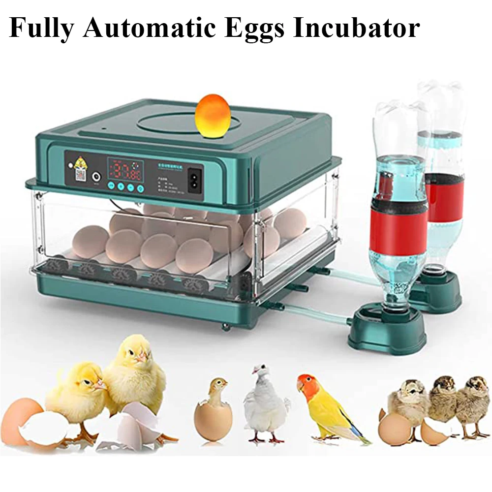 10/15 Egg Incubator Fully Automatic Turning Hatching Brooder Farm Bird Quail Chicken Poultry Farm Hatcher Turner Incubation Tool