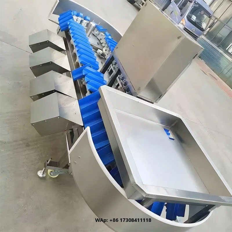 Industrial Lemon Pineapple Olive Cherry Fig Fruit Size Sorting Industrial Grader Machine