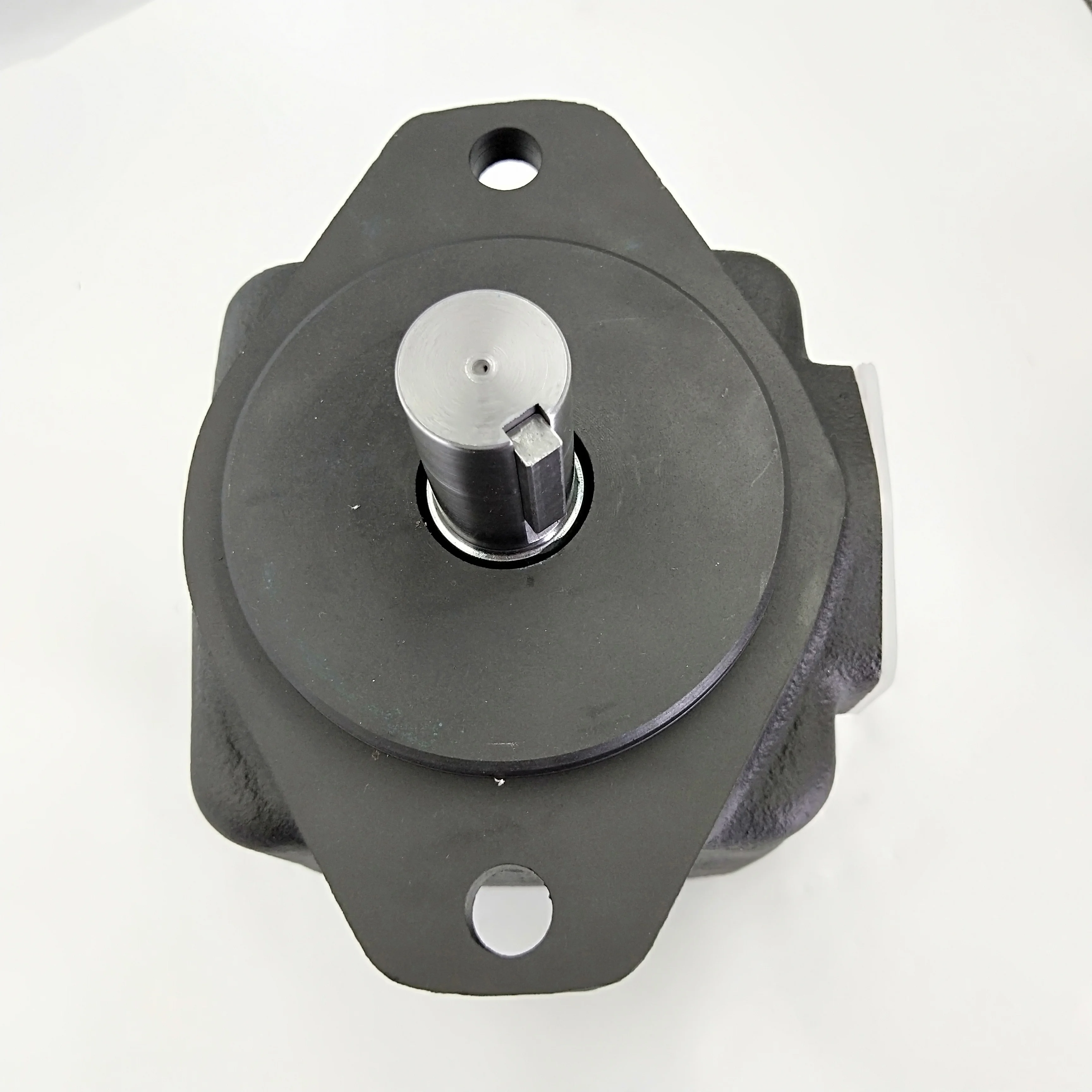 PV2R13 PV2R23 Pompa idraulica a palette PV2R1-14FRAA-10 Pompa a palette a spostamento fisso PV2R2-75-FR PV2R2-47-FR PV2R12-6-65-F-REAA-43