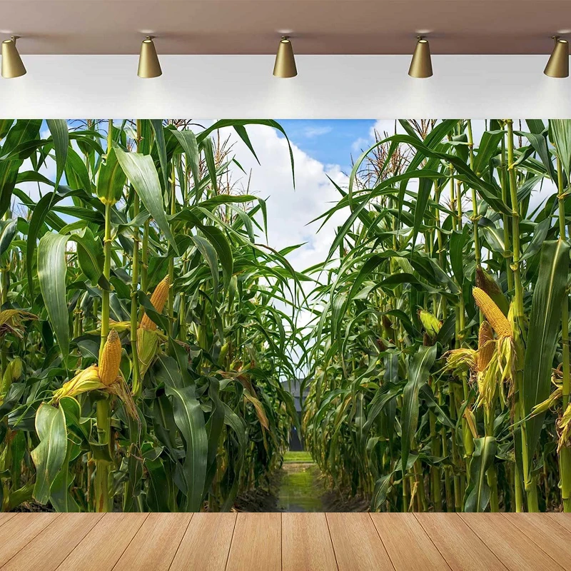 Green Cornfield Photography Backdrop Rural Corn Fields Maize Background Farmland Crops Fall Harvest Theme Party Decor Poster