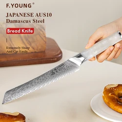 F.YOUNG 8.5