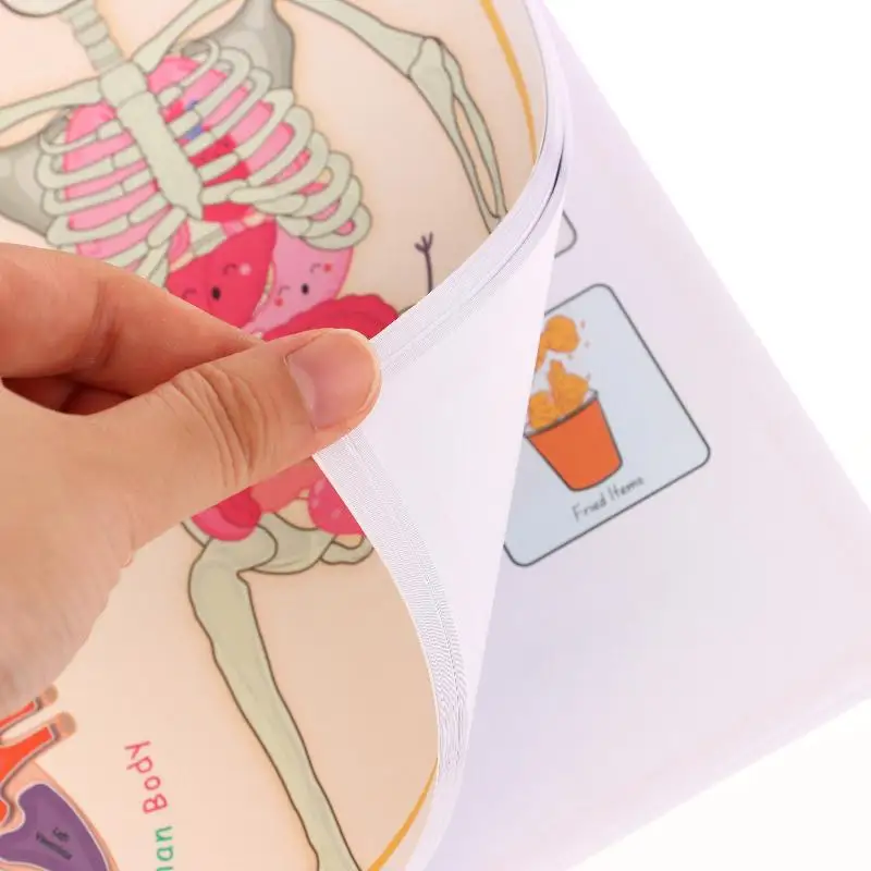 

Creative Human Anatomy Busy Book Children's Fun Learning Picture Album With Illustration Learning Planner