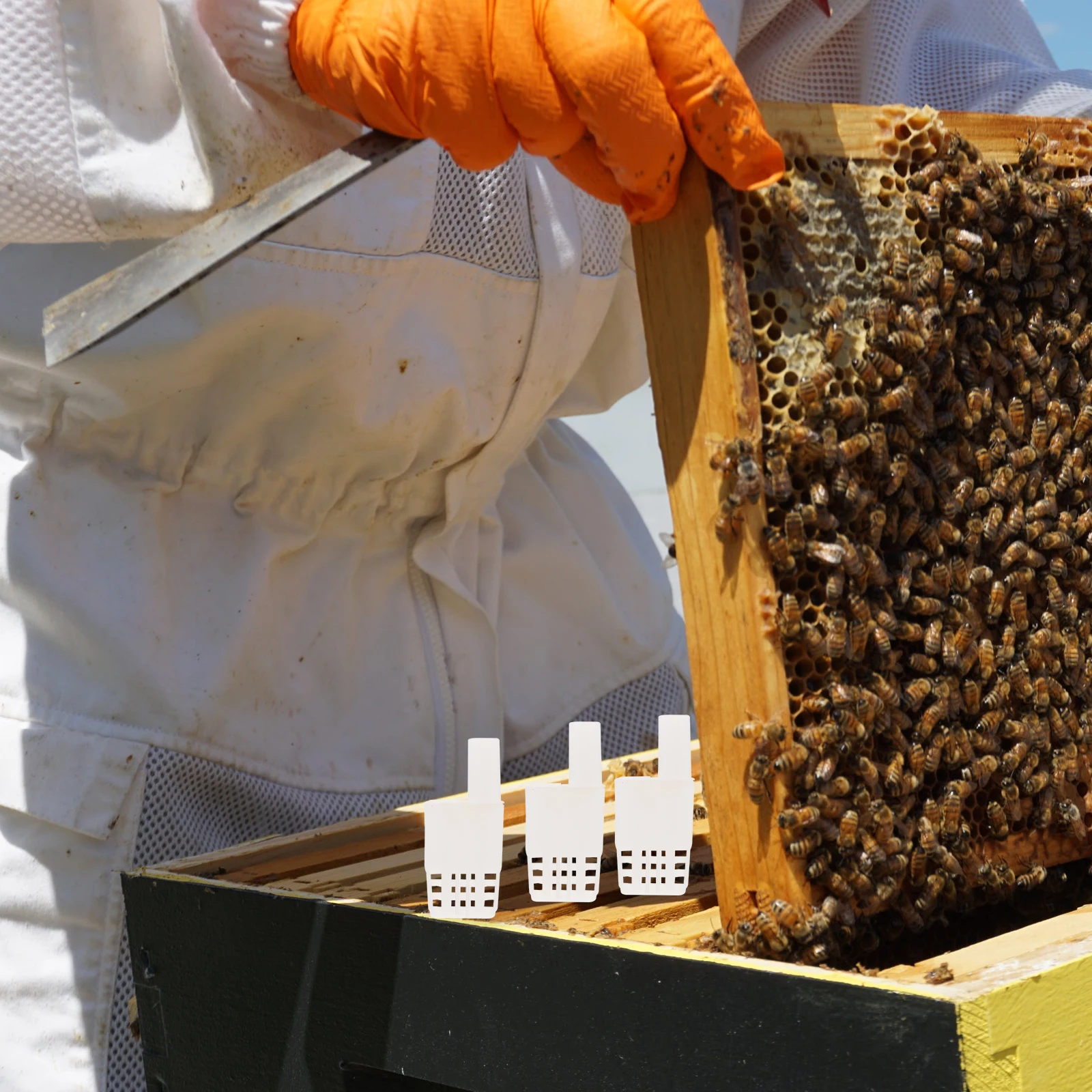 

10Pcs Plastic Bee Queen Cage Lightweight Convenient Safe Beekeeping Tool Isolation Transport Cage Beekeeping Supplies