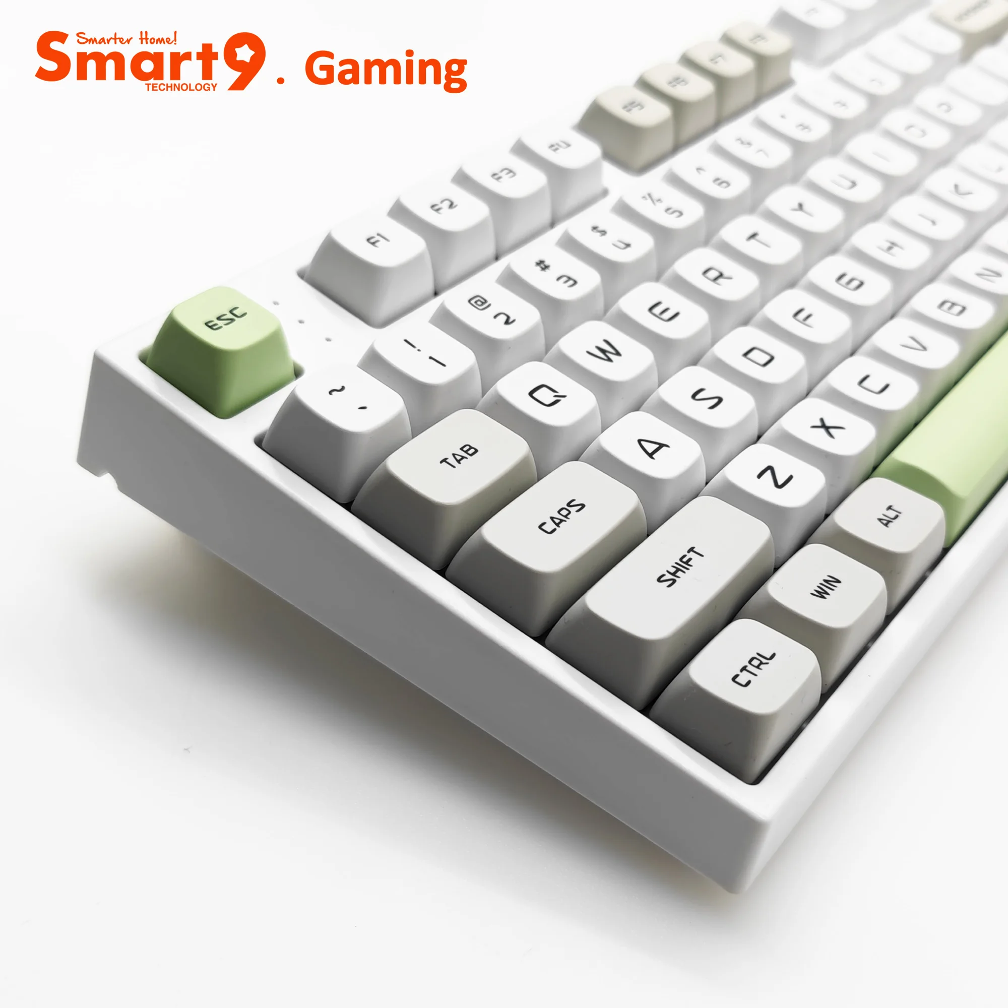 Smart9 Double Shot Keycaps HSA Profile Custom Letters 155Keys Full Set Layout for Mechanical Keyboards