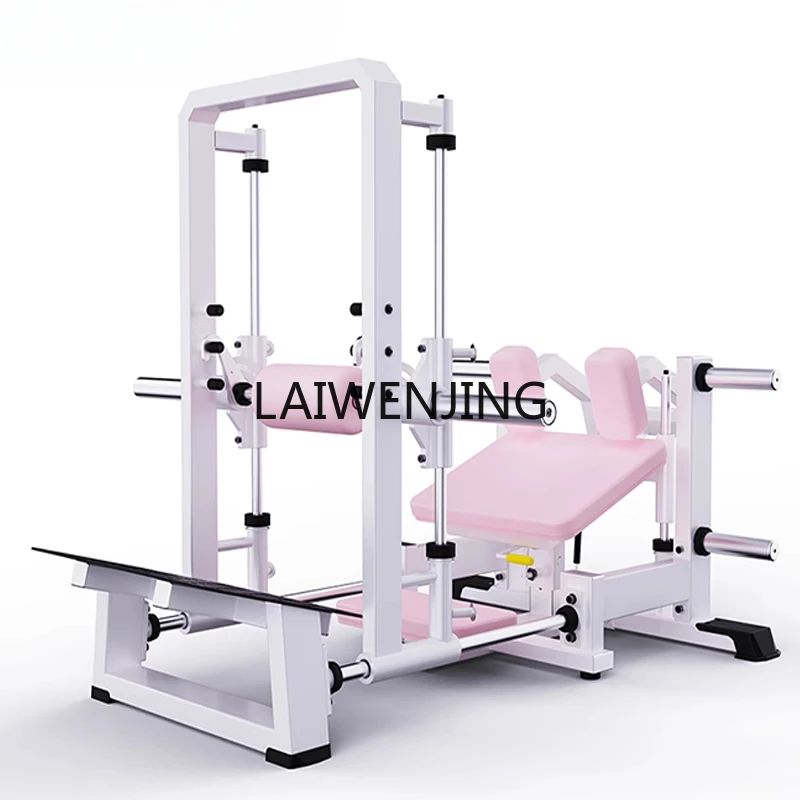 

HLZ buttocks equipment private training buttocks punch machine buttocks high and low back trainer