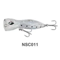 NSC011