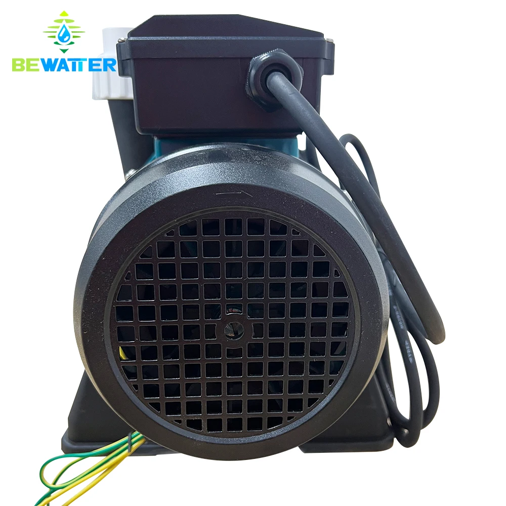Immagine 6: Pompa per acquacoltura monofase autoadescante da 1.5HP, 2HP, 2.5HP, 3HP per acqua di mare