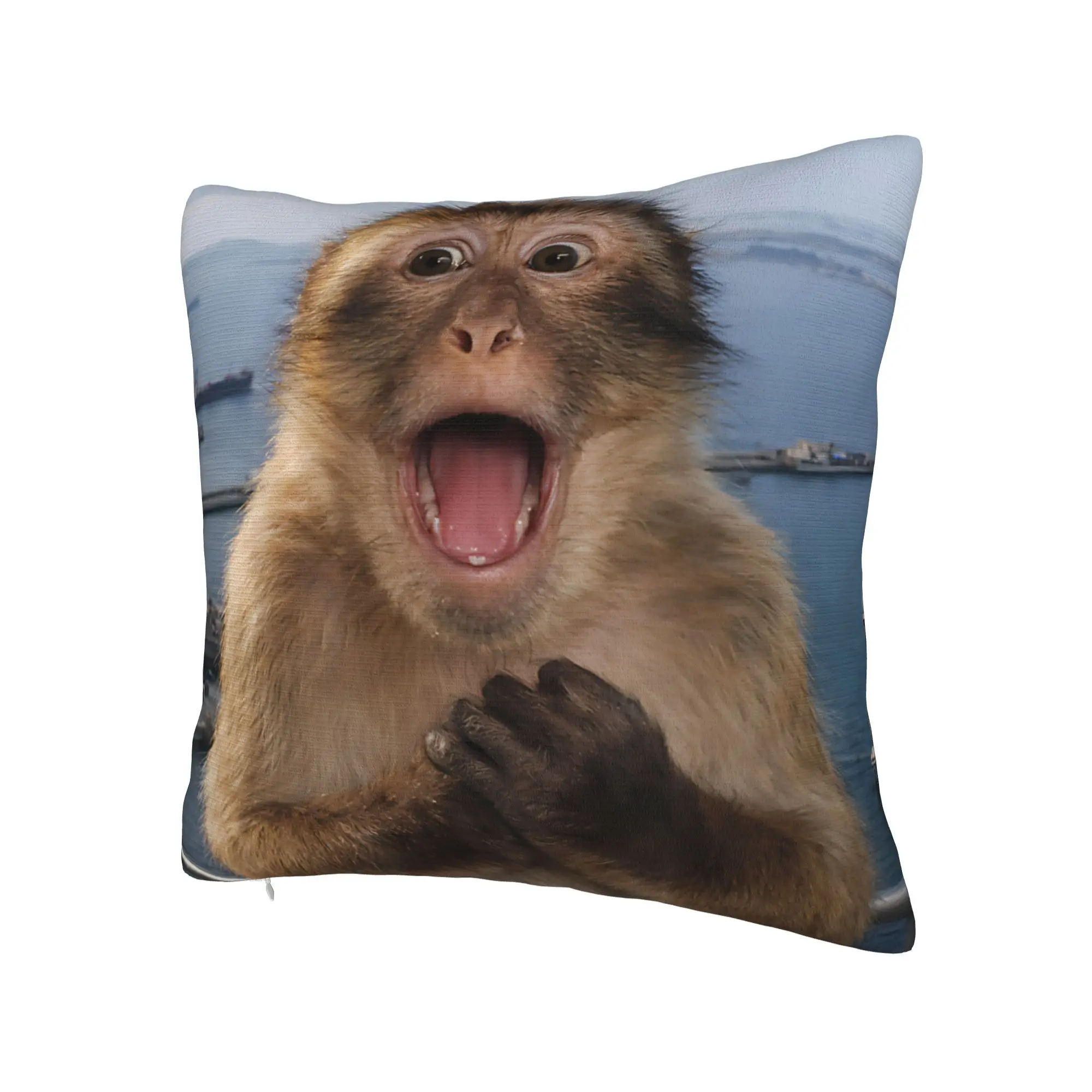 Thinking Monkey Meme  Pillow Covers Merch Printed Cushion Cover Decor  Pillow Case Cover Home Multiple Sizes
