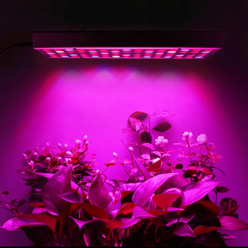 LED Grow Lights para Plantas de Interior, Espectro Completo, IR UV, Vermelho, Azul, Branco Chips, Casa Pendurada, Vegetal e Flower Glowing Lamp