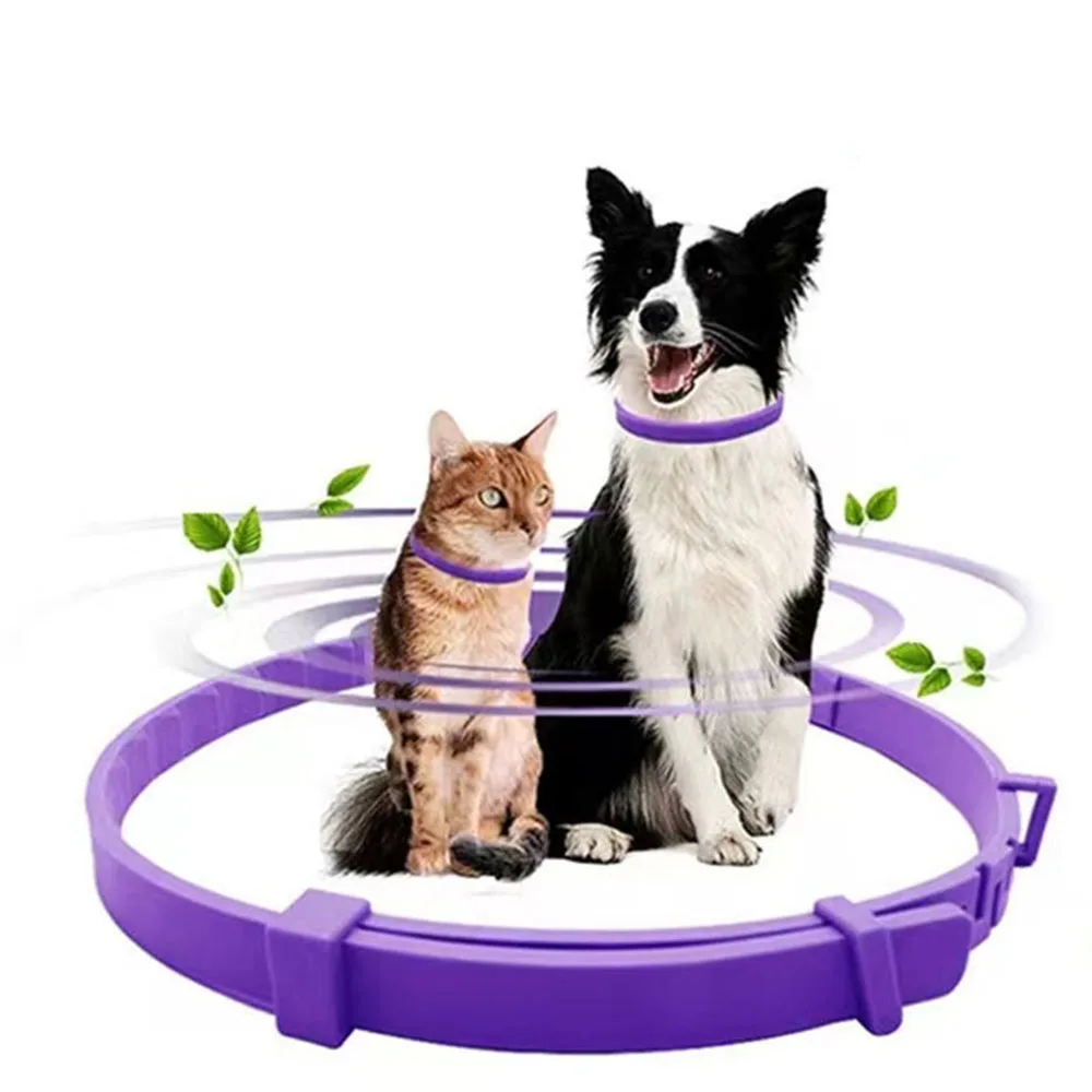 Dog Collar Puppy Cat 70cm 38cm for Small Dogs Cat Collar Pet Items Cat Accessories Adjustable Breakaway Kitten Collar Waterproof