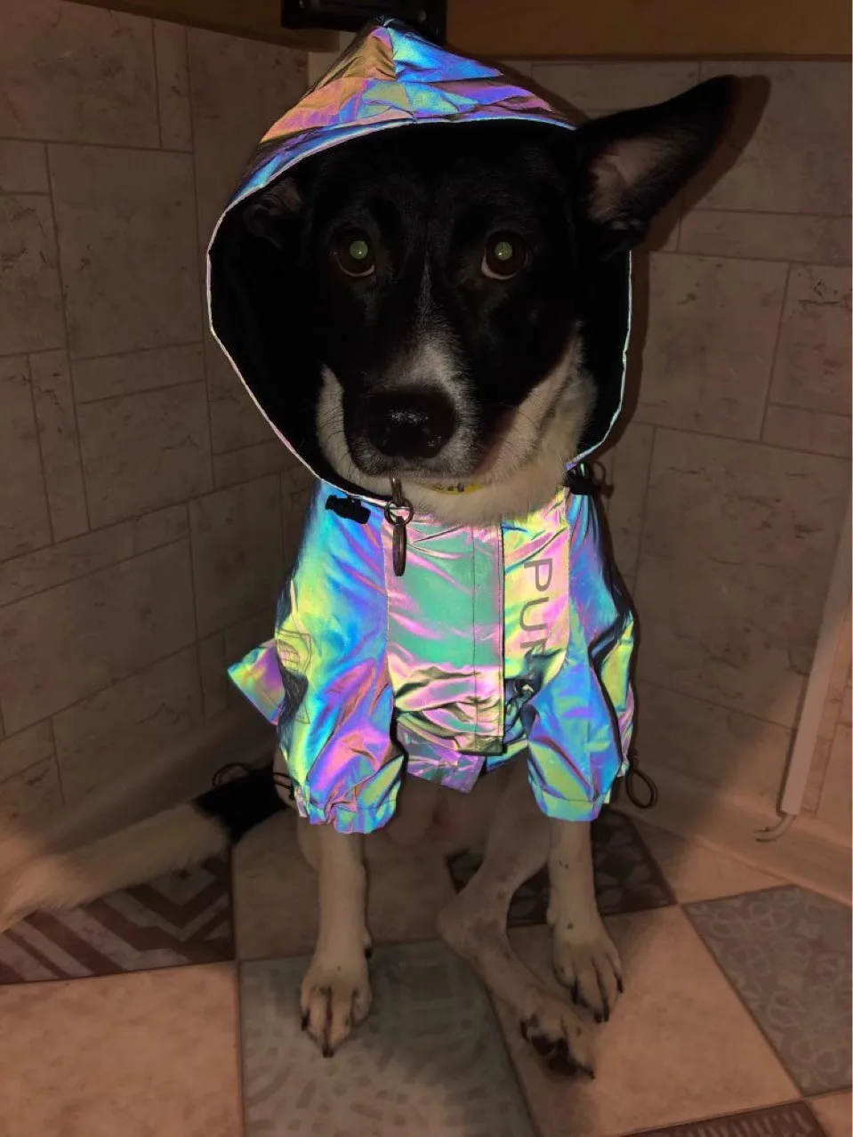 

Reflective Design Outdoor Windproof Rainproof Dog Coat For Large Dogs Raincoat