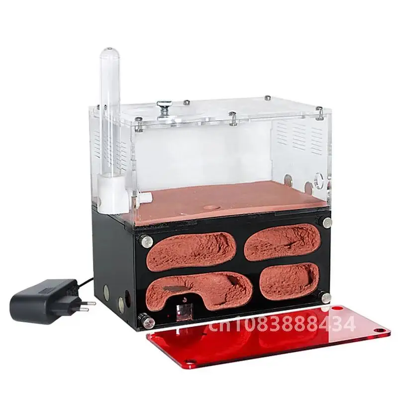 

Ant farm acryl with drinker Temperature Control Concrete Ant Nest Infinite Expansion Insect House Colony Drinker Anthill Kit