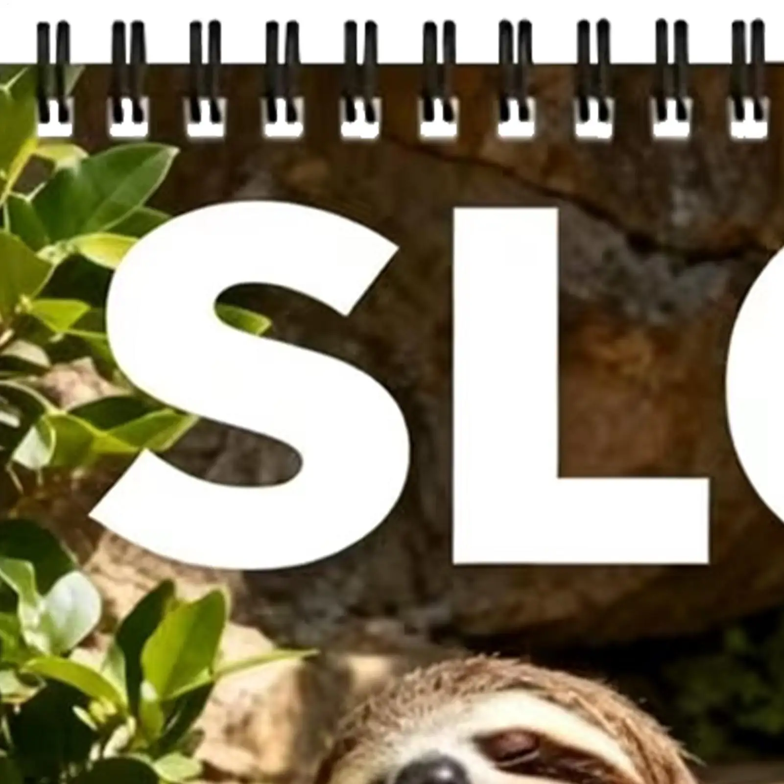 Wall Planner 2027 Sloth Monthly 12-Month Academic Home Decor Animal Calendar Schedule Organizer For Birthday New Year Home