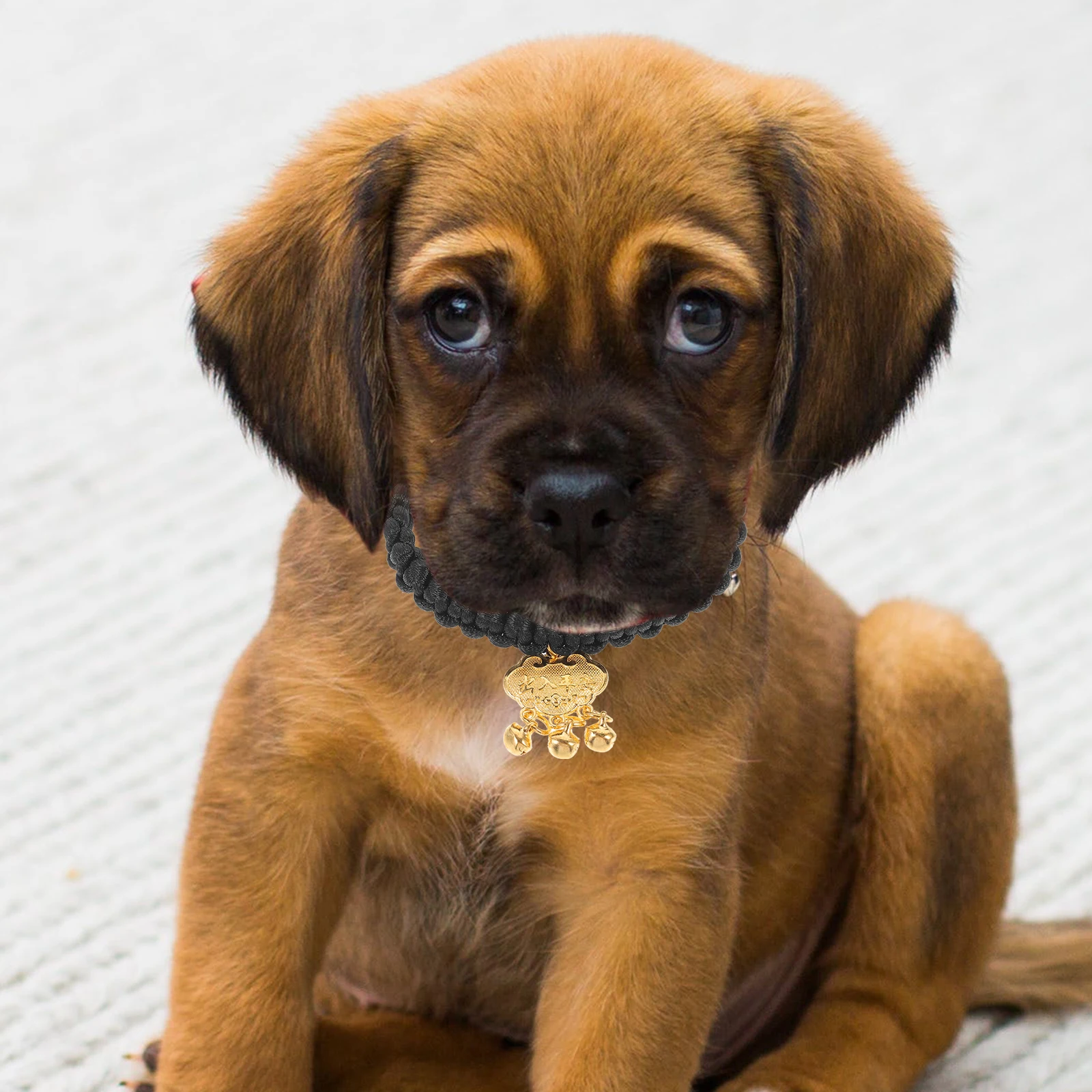 

Gold Lock Pet Collar with Crisp Bell Sound Multi-Function Hanging Ornament for Cat Dog Festival Decoration Cat Dog Collar