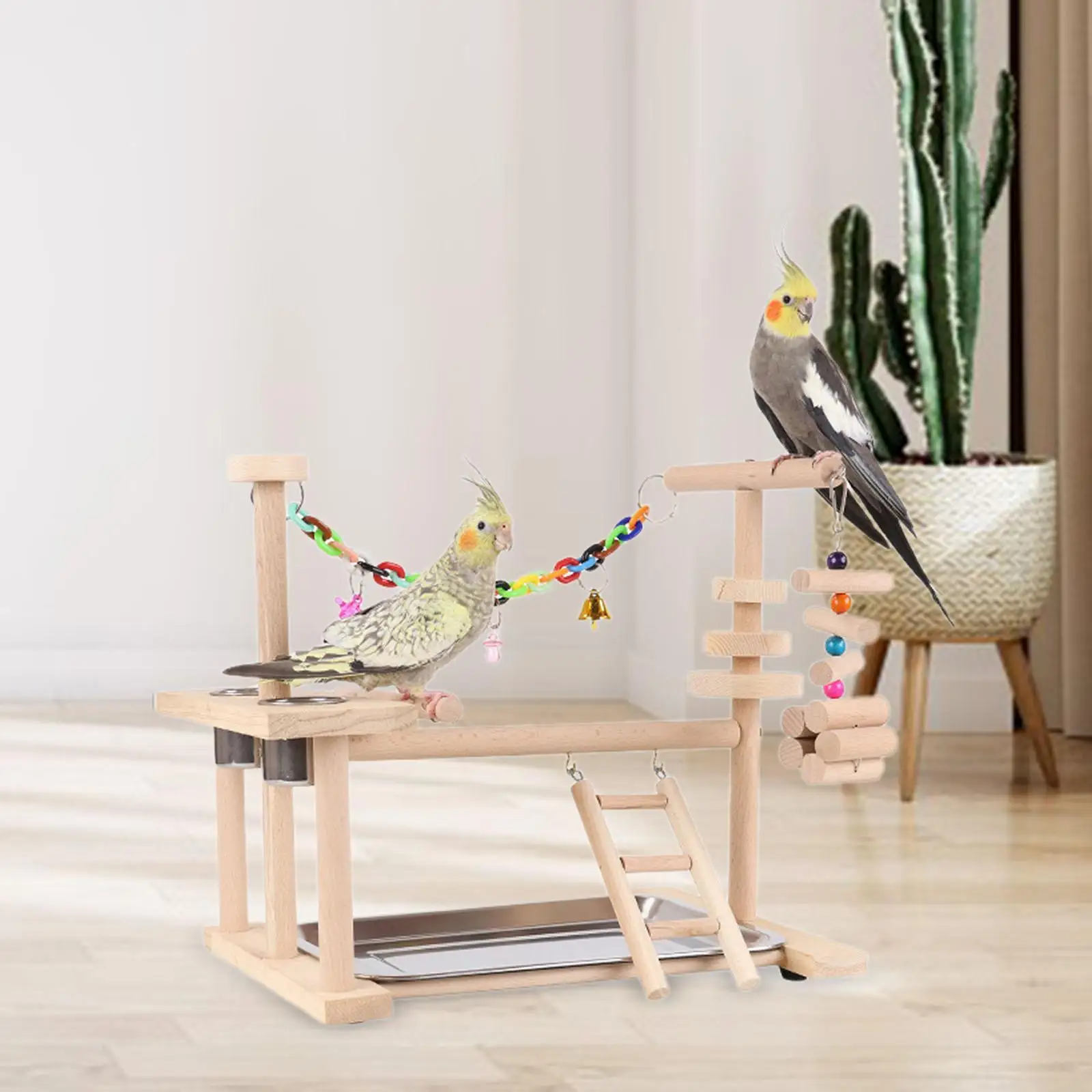 Aire de jeux pour oiseaux perroquets, support de jeu pour perruches, petits oiseaux, Conures
