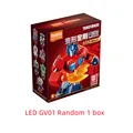led GV01 Random 1box