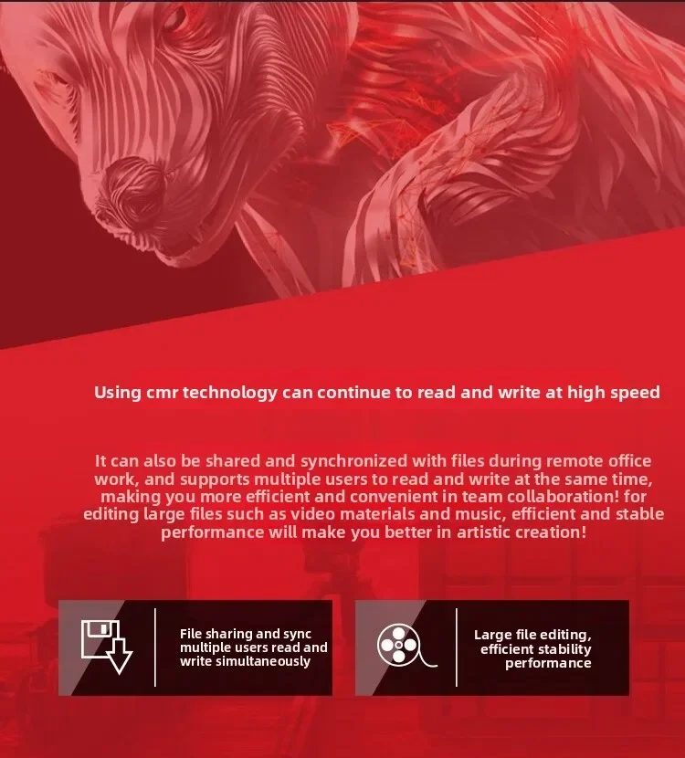 محرك الأقراص الصلبة NAS CMR 3.5 بوصة SATA 16 تيرابايت Cool Wolf ST160 #5