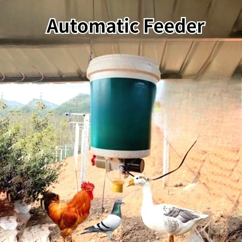 220v Chicken Automatic Feeder Pigeon Chicken Duck Carrier Pigeon Feeding Trough Timing Automatic Feeding Chicken Artifact Pigeon