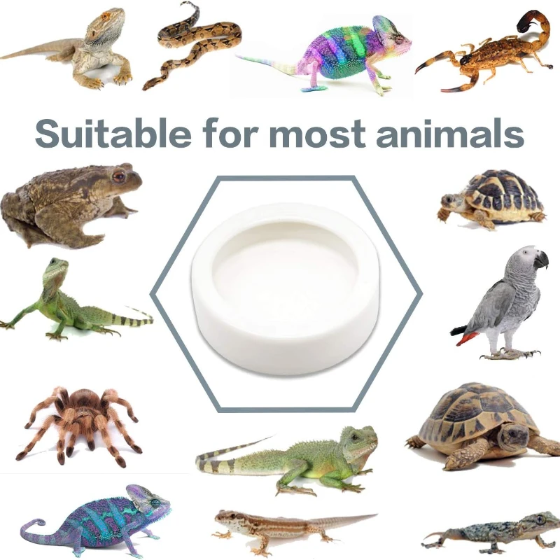 Thumbnail 3 - #25 Compare Reptile Water Bowls Before You Buy
