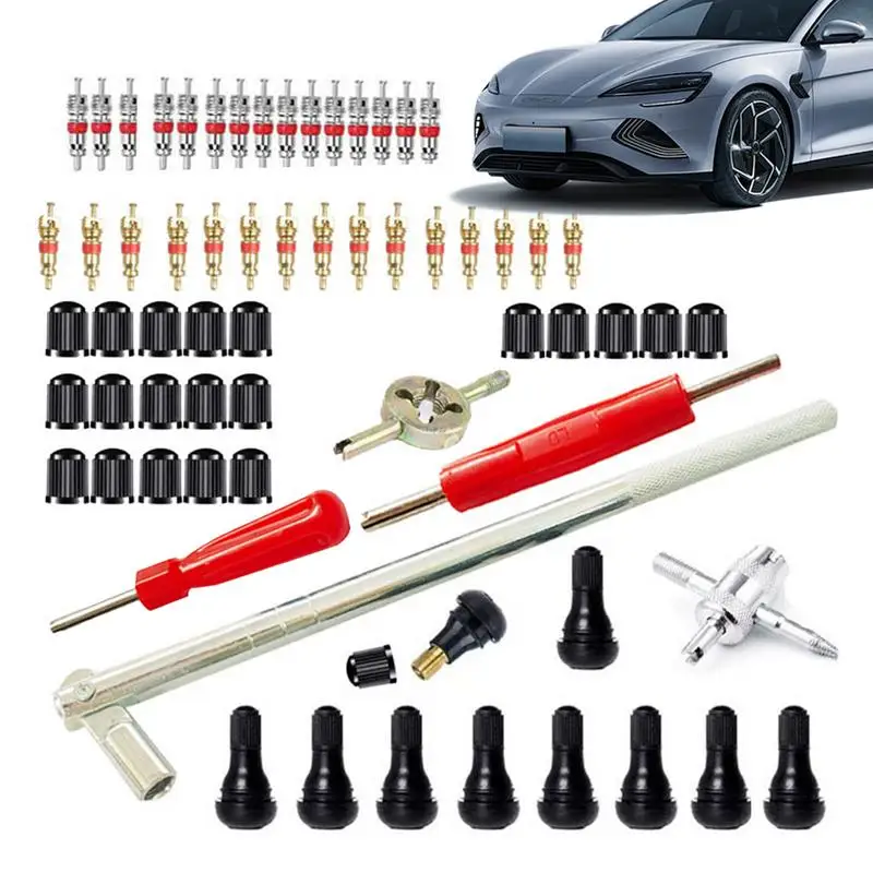 65pcs Car Tire Valve Stem Installation Tool Kit Valve Install Tool Repair Tool Valve Core Remover Valves Core Installer Kit