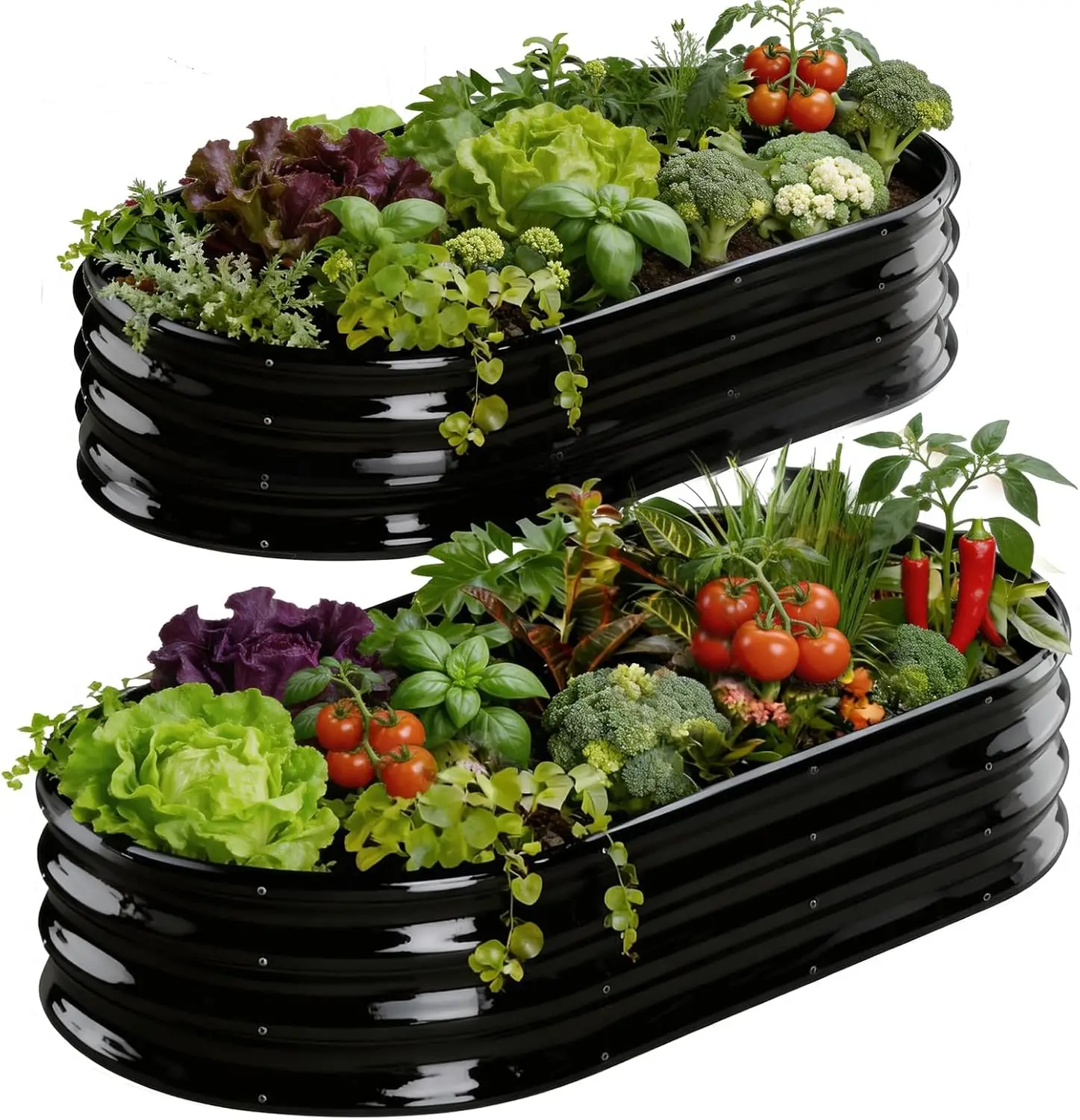 Raised Garden Bed & Planter Box, Galvanized Metal, Black, Oval Design