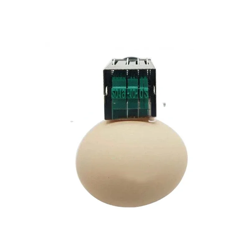Egg coding machine Portable Date Stamp For Egg Supermarket Store School Bank Office Manufacture Date Number Stamps 17x4mm