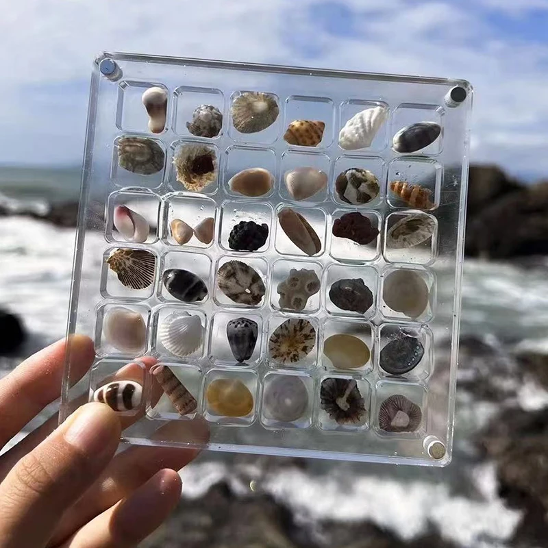 Clear Acrylic Magnetic Seashell Display Box Seashell Storage Box Nail Display Cases Container Organizers Container Stackable