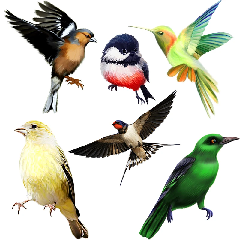 Three Ratels QN11 Cute Colorful Birds Home Decoration Wall Decal Computer Phone Decal Waterproof Car Decal Toilet Decal