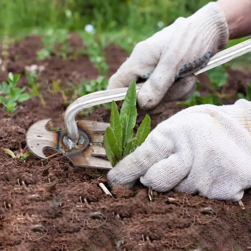 Weeding Artifact Uprooting Weeding Tool With Extended Handle Loose Soil Uprooting Weeding Tools Garden Agricultural Supplies