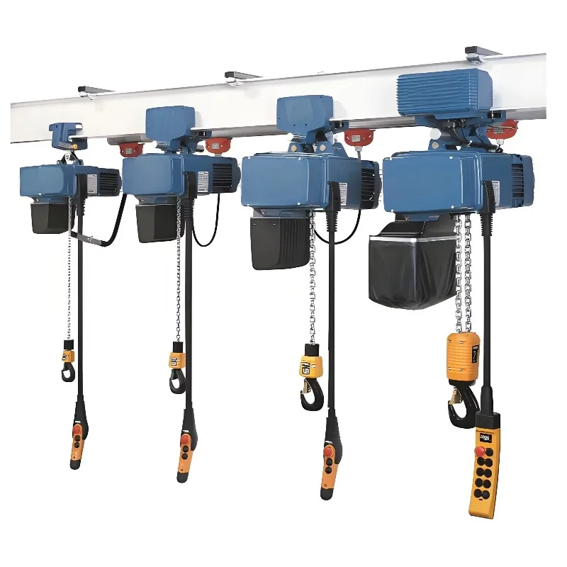 

Best-selling Customized Electric Chain Hoist With Motor Component For Workshop Use